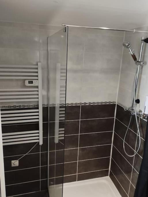 Appartement Coeur De Ville! Foix Εξωτερικό φωτογραφία