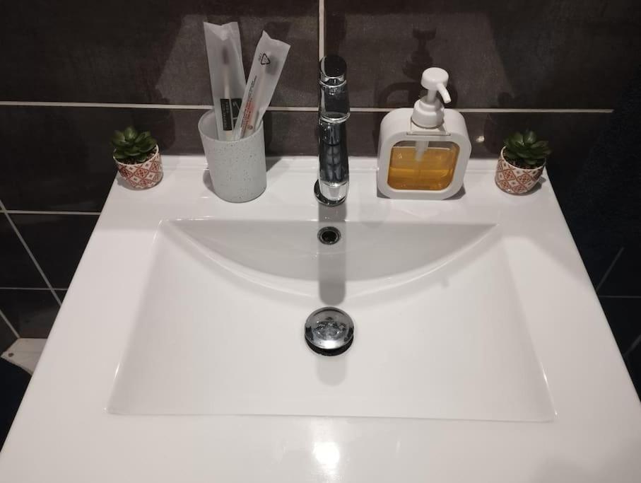 Appartement Coeur De Ville! Foix Εξωτερικό φωτογραφία