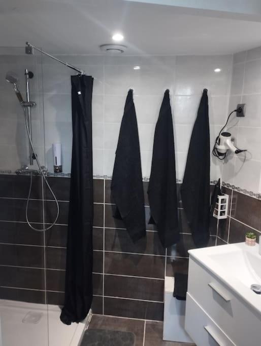 Appartement Coeur De Ville! Foix Εξωτερικό φωτογραφία